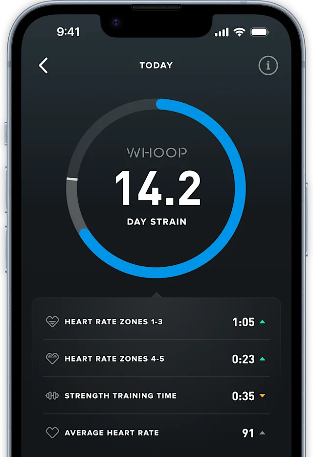 Strain Dashboard