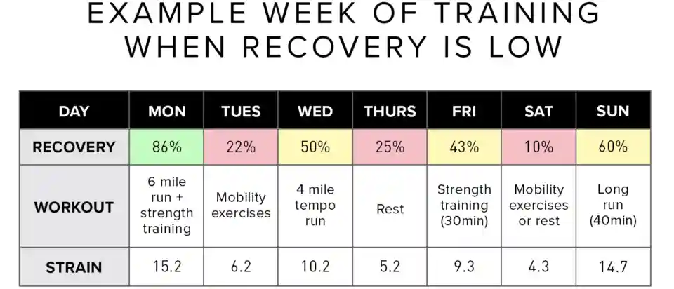 Low recovery running training guide