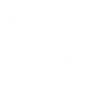 At WHOOP, the best idea wins.