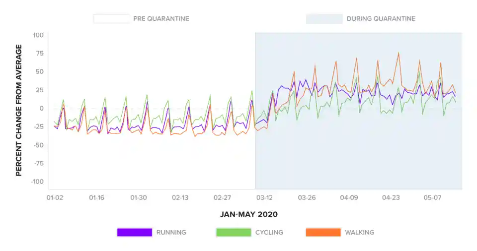 A graph showing the exercises in which participation increased the most during quarantine.