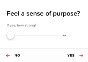 The WHOOP Journal can track if you feel a sense of purpose each day.